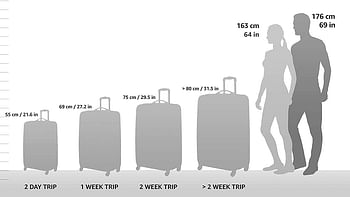 Traveler's Choice Amsterdam 4-Piece Luggage Set