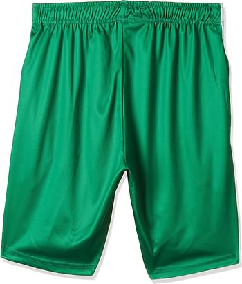 Fifa World Cup Qatar 2022 Ksa Men's Shorts - Green