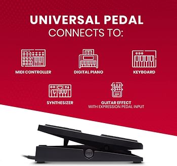 Akai Professional Expression Pedal – Lightweight, Robust, Non Slip Pedal For Midi Keyboard Controllers, Guitar Supported Effects, With 1.8M Cable