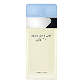 Dolce & Gabbana Light Blue Tester for Women / 100 ml