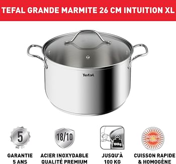 Tefal Intuition XL Large Cooking Pot Stainless Steel 26 cm/6.5 L, Induction, Premium 18/10 Stainless Steel, Size XL, Sturdy Handles, Glass Lid B8646304