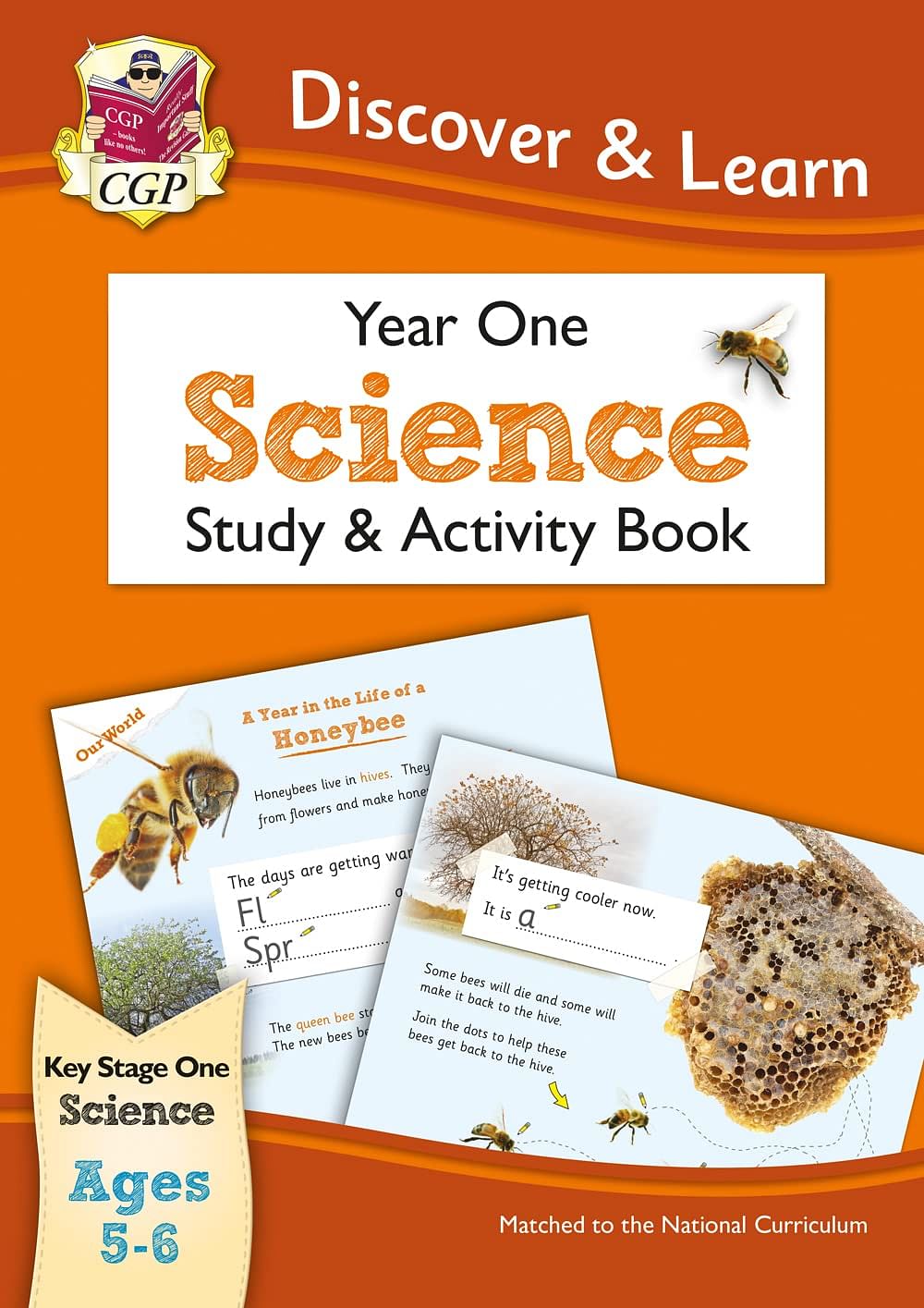 Ks1 Discover & Learn: Science - Study & Activity Book, Year 1-Paperback – Big Book, 28 October 2015