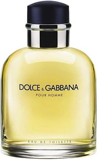 Dolce & Gabbana Pour Homme EDT 100ML Tester