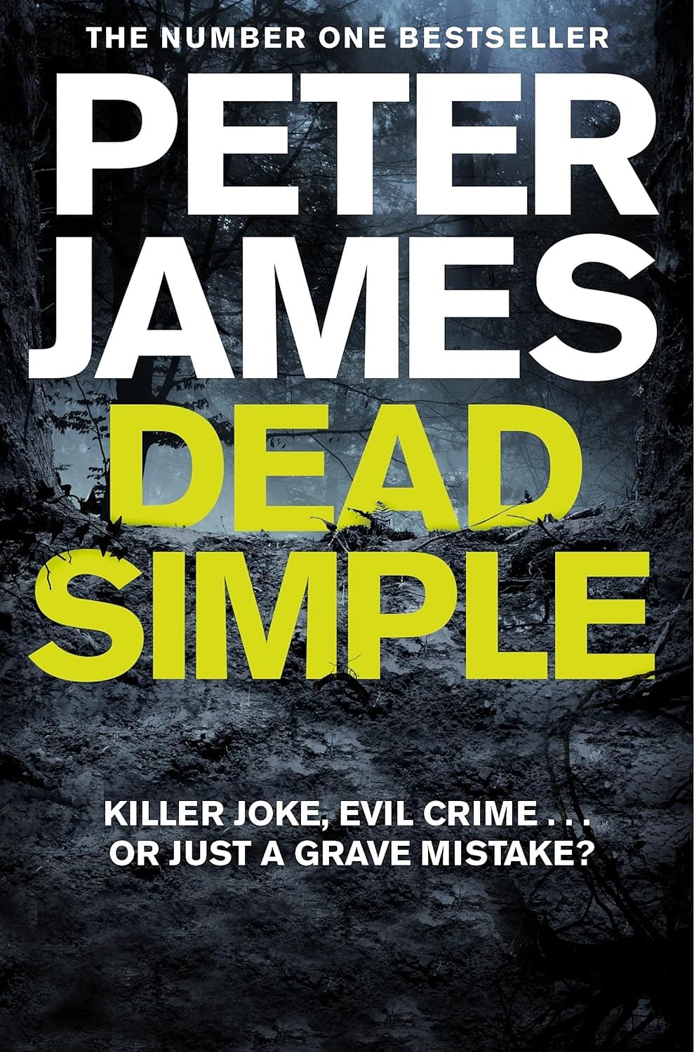 Dead Simple -By Peter James - Paperback