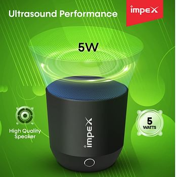 Impex Rechargeable Multimedia Bluetooth Speaker BTS2013 Black