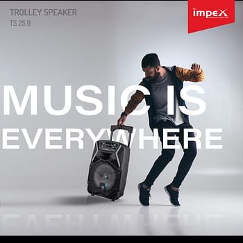 Impex TS-25B Multimedia Portable Trolley Speaker With Mic And LED Light Black