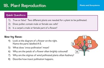KS3 Science Revision Question Cards Cards – Big Book, 17 May 2019 by CGP Books (Author, Editor)