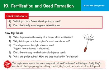 KS3 Science Revision Question Cards Cards – Big Book, 17 May 2019 by CGP Books (Author, Editor)