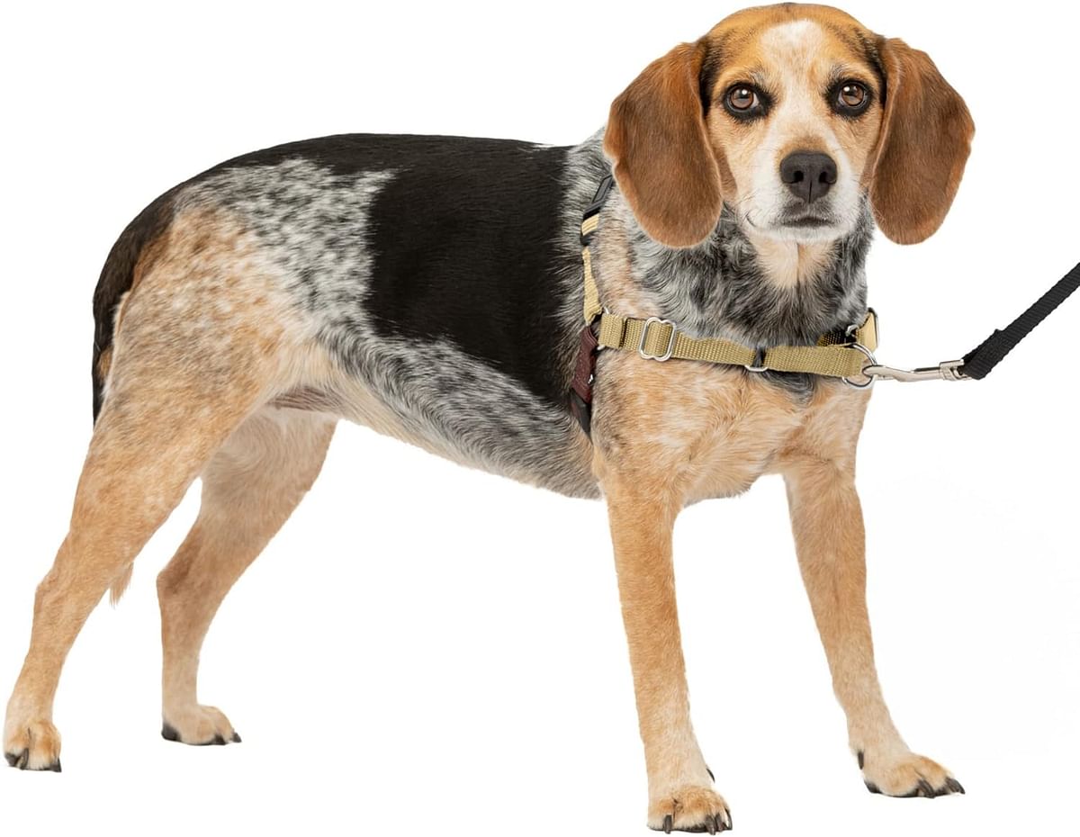 Petsafe Easy Walk Dog Harness - No Pull Small/Medium, Fawn