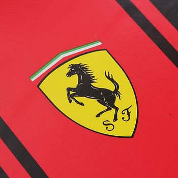 Ferrari Long Board Fbw1 49''*9.75'' Pu Wheel Alum @Fs