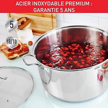 Tefal Intuition XL Large Cooking Pot Stainless Steel 26 cm/6.5 L, Induction, Premium 18/10 Stainless Steel, Size XL, Sturdy Handles, Glass Lid B8646304