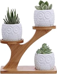 3pcs Owl Succulent Pots with 3 Tier Bamboo Saucers Stand Holder - White Modern Decorative Ceramic Flower Planter Plant Pot with Drainage - Home Office Desk Garden Mini Cactus Pot Indoor Decoration