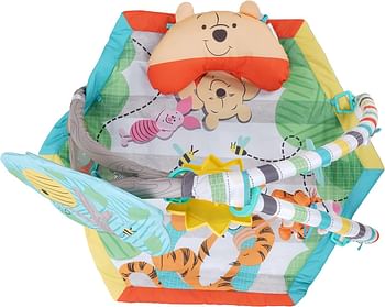 DISNEY BABY 13 -Happy as Can Bee Activity Gym from Bright Starts/Style Winnie the Pooh Happy as Can Bee