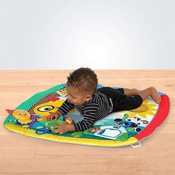 Baby Einstein-9-Caterpillar & Friends Play Gym Activity Gym