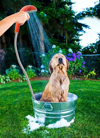 Ivation Portable Outdoor Shower -Battery Powered - Compact Handheld Rechargeable Camping Showerhead - Pumps Water from Bucket Into Stead - Gentle Shower Stream