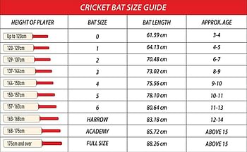 DSC Intense Speed English Willow Cricket Bat, Size 6