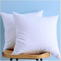 Regency Klub Cushion Filler , Outer Cover : 70GSM Non Woven , Filling 700grms Soft Fiber, Size: 65 x 65cm , White