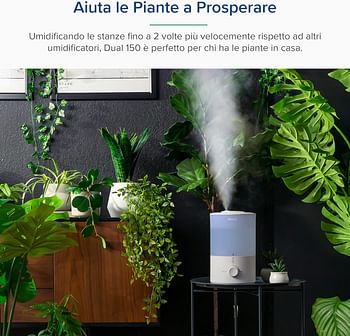 LEVOIT 3L Humidifiers for Bedroom Baby Room with Night Light, Cool Mist Humidifier for Home, Office & Plant, Auto-Off, Up to 25H for 27 ㎡, Quiet Operation with 360° Rotation Nozzle- 2 Filter Sponge