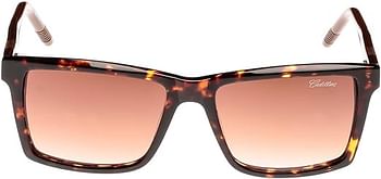 Cadillac Square Unisex Sunglasses - 1518S C1-54-17-150