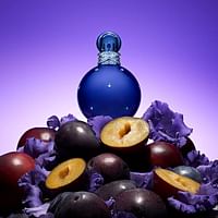 Britney Spears Midnight Fantasy Eau De Parfum 100 ml Women