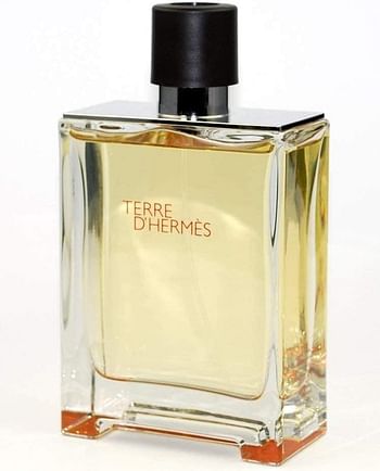 HERMES Terre D' Hermes EDT 100ml