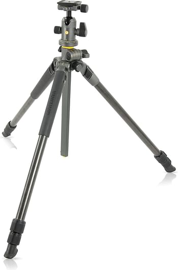 Vanguard Alta Pro 2+ 263CB 100