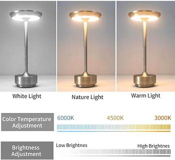 Dimmable Touch Sensor Metal charging 3000-6000k - Silver