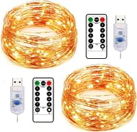 Holahoney USB Fairy String Lights 2 Pack 100 LED 33ft Led String Lights Firefly USB Plug in Starry Lights with Remote Waterproof Copper Wire Decorative Fairy Lights for Valentine's Day (Warm White)