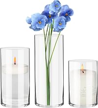 BIGIVACA Set of 3 Clear Glass Cylinder Vases Bulk,6 8 10 inch-3 pack Tall Glass Cylinder Candle Holders Glass Plant & Flower Vases for Centerpieces Home and Wedding Decoreation (W:4’)