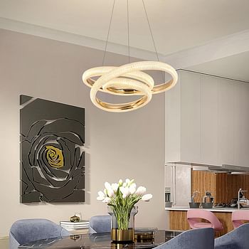 Modern LED Chandelier Ceiling Light Acrylic LED Electro-gilding Gold Chandelier for Dining Room (E)