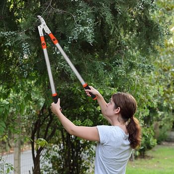 Kurtzy Heavy Duty Telescopic Anvil Lopper - 67-100cm 26.38-39.37 Inches - Extendable Garden Tree & Branch Cutter - Professional Razor Blade Trimmer for Thick Branches