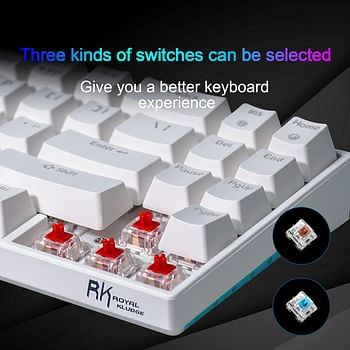 RK ROYAL KLUDGE Rk71 Mechanical Keyboard 70% Compact Bluetooth 71 Keys,Tenkeyless USb Wired/Wireless Portable Gaming/Office With Stand-Alone Arrow Keys For Windows Macos (Blue Switch-White)