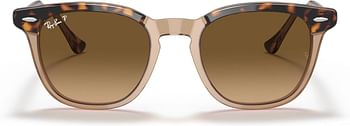 Ray-Ban Rb2298 Hawkeye Square Sunglasses