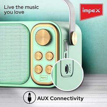 Impex Portable Bluetooth Karaoke Speaker With 2 Wireless Mic With Voice Modulation Green & Gold