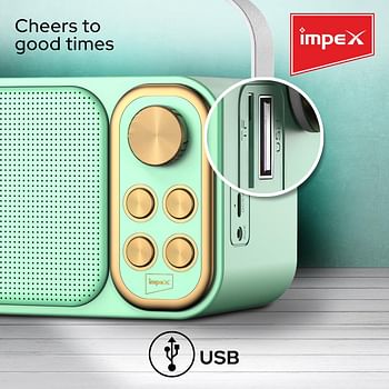 Impex Portable Bluetooth Karaoke Speaker With 2 Wireless Mic With Voice Modulation Green & Gold