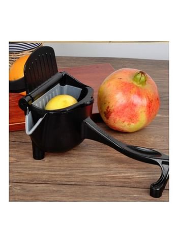 Manual Fruit Juicer Silver 26x16x13cm