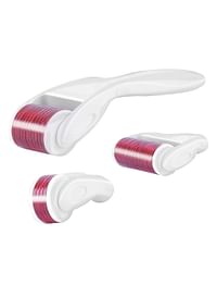 4 In 1 Derma Roller