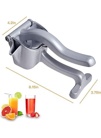 Stainless Steel Manual Hand Juicer Silver 800grams