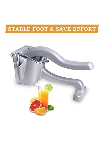 Stainless Steel Manual Hand Juicer Silver 800grams