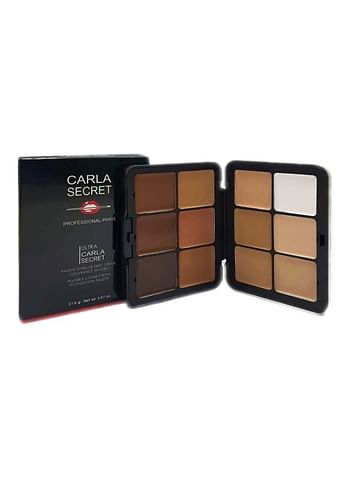 CARLA SECRET Colour Professional Foundation Palette Multicolour