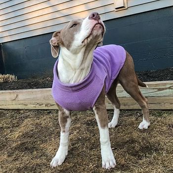 Gooby Stretch Fleece Pull Over Cold Weather Dog Vest, X-Large, Lavender