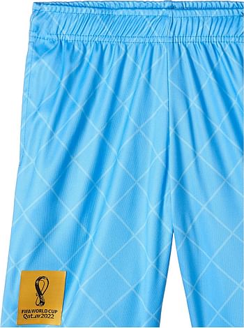 FIFA World Cup Qatar 2022 ARGENITNA MEN'S SHORTS - BLUE