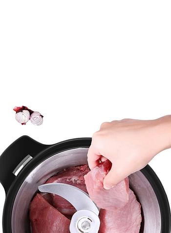 Stainless Steel Meat Grinder, 1000W Food Processor with 6L Food Capacity & 4 Blades, for Meat, Vegetables, Fruits and Nuts