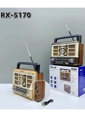 Wooden Retro style Radio RX-5170, portable rechargeable desktop wooden TWS FM AM SW BAND RADIO Speaker