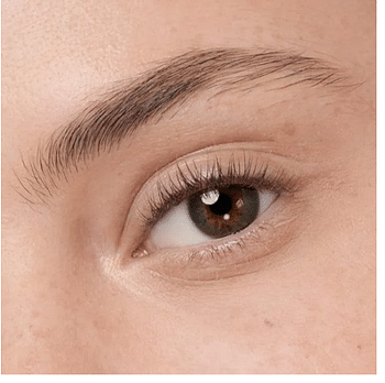 Maybelline New York  Brow Ultra Slim BLACK BROWN